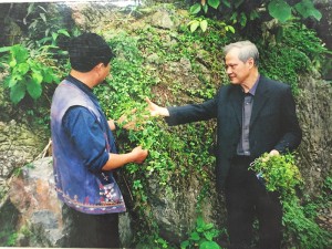 Professor responsible for discovering medicinal herb in Vietnam