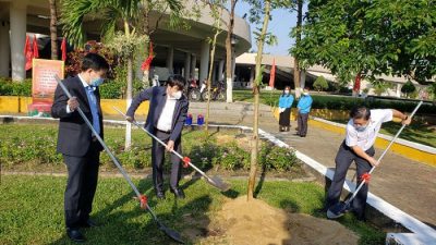 Nationwide response to Lunar New Year tree planting campaign