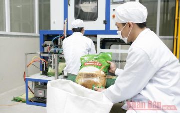 Enhancing added value for rice industry