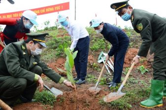 Provinces launch tree planting festivals to support one billion tree programme