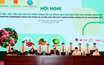 Hai Duong promotes consumption of Thanh Ha lychee, specialty agricultural products