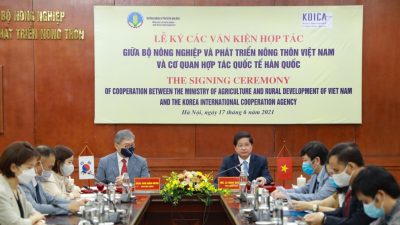 Vietnam and ROK strengthen agricultural cooperation