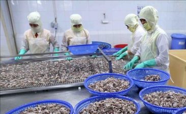 Aquatic product exports increase by 26% in May