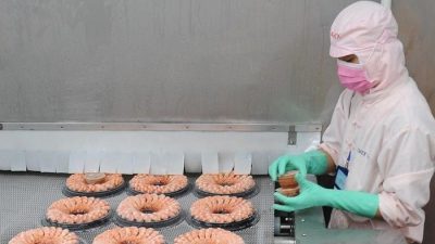 Vietnam’s shrimp exports rake in US$1.7 billion in H1