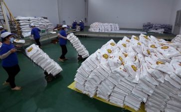 Hanoi donates 6,000 tonnes of rice to Ho Chi Minh City, Binh Duong province