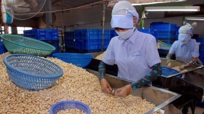 Vietnam’s exports to Cambodia up 16.7% in eight months