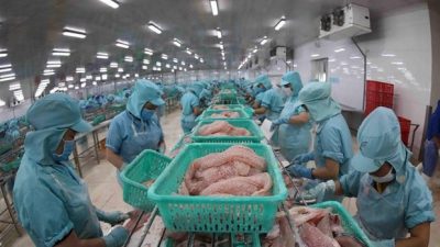 Vietnam moves to widely popularise tra, basa fish in Australia