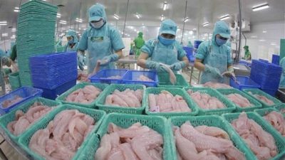 Tra fish export value estimated at 1.54 billion USD this year