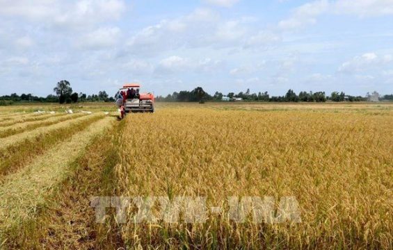 agricultural-sector-flexibly-adapts-to-covid-19-to-grow-further.jpg