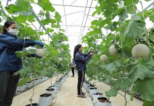 cooperatives-to-be-supported-in-digital-transformation.jpg