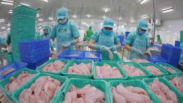 ministry-looks-to-address-hurdles-in-agro-exports-to-russia-ukraine.jpg