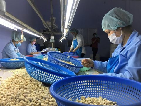 swift-ban-on-russia-poses-certain-but-temporary-difficulties-for-payments-in-agricultural-trade.jpg