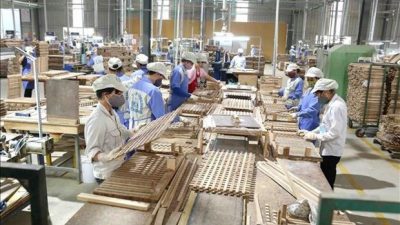 Vietnam’s wood industry seeks to ensure self-sufficiency in domestic materials
