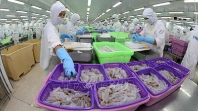 WB: Vietnam’s economy continues to show resilience